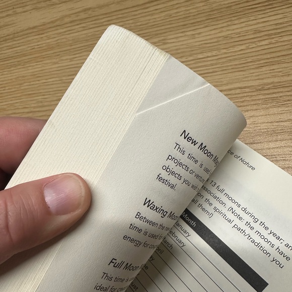 Book: Witch by Lisa Lister - new age metaphysical book - Picture 3 of 4